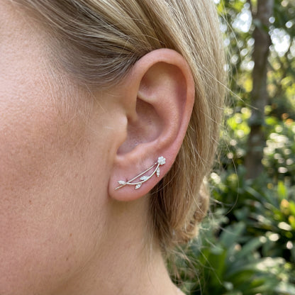 Leaf Stud Earrings - 925 Sterling Silver